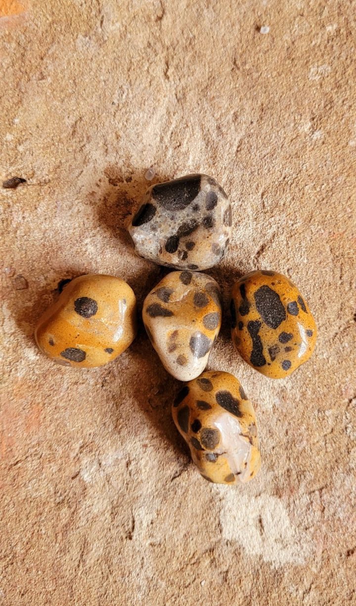 Cheetah Jasper Polished Tumblestone Crystal