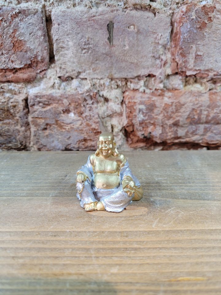 Silver Robe Buddha