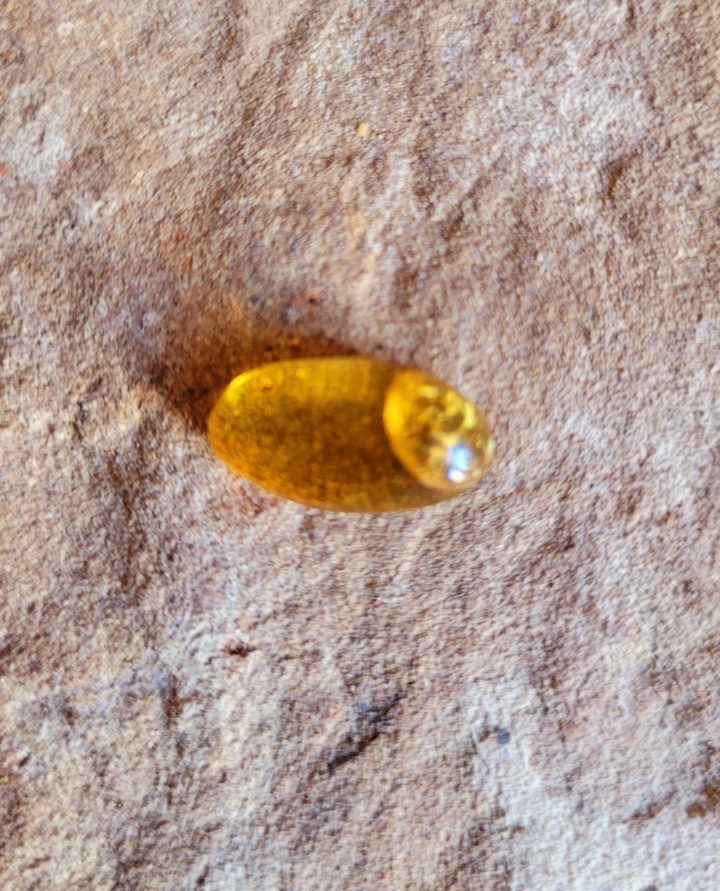 Amber with Inclusion