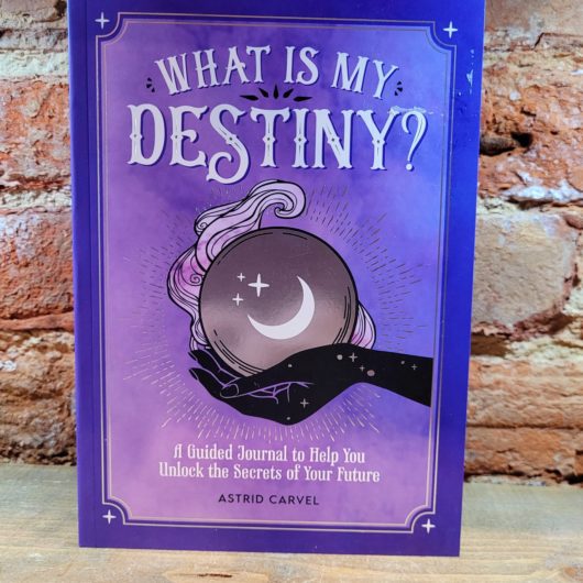 Book What Is My Destiny? by Astrid Carvel