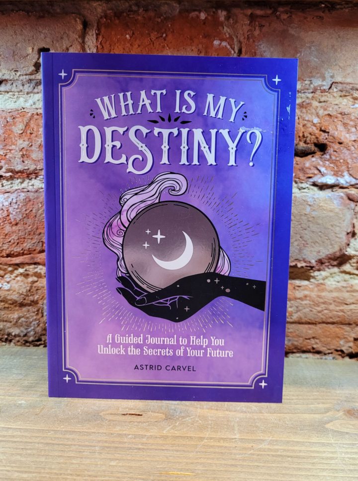 Book What Is My Destiny? by Astrid Carvel