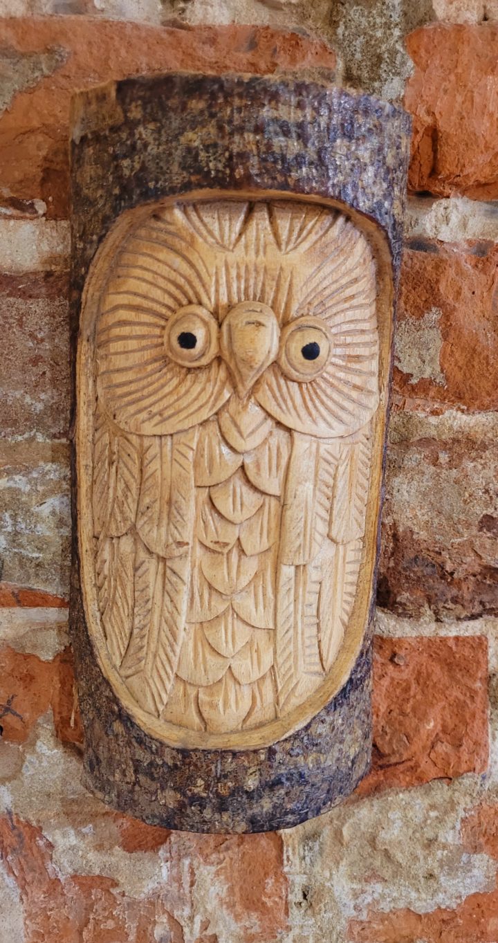 Owl Tree Trunk Carving