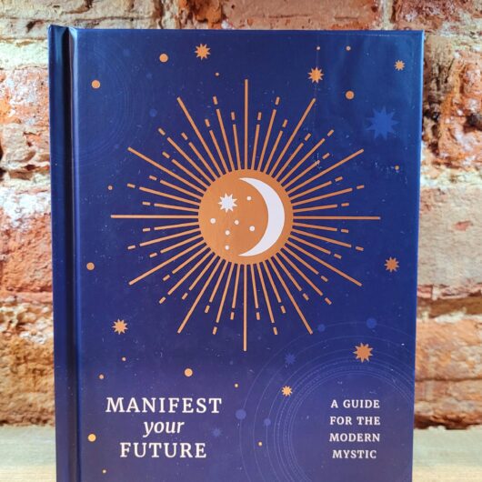Book Manifest Your Future - A guide for the Modern Mystic