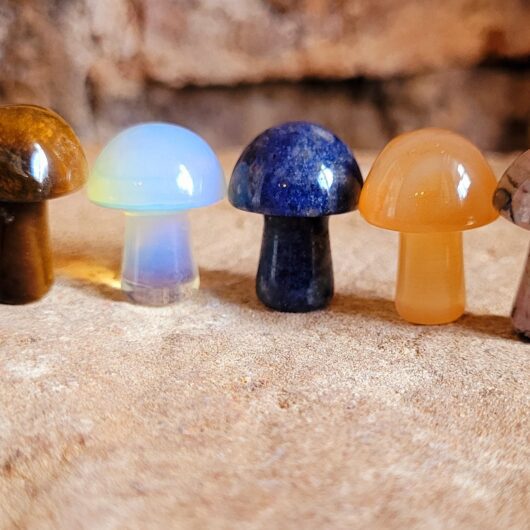 Small Crystal Gemstone Polished Mushroom