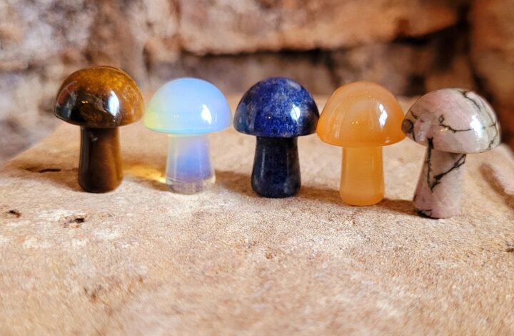 Small Crystal Gemstone Polished Mushroom